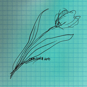 12脱了内裤自慰❌在无码
